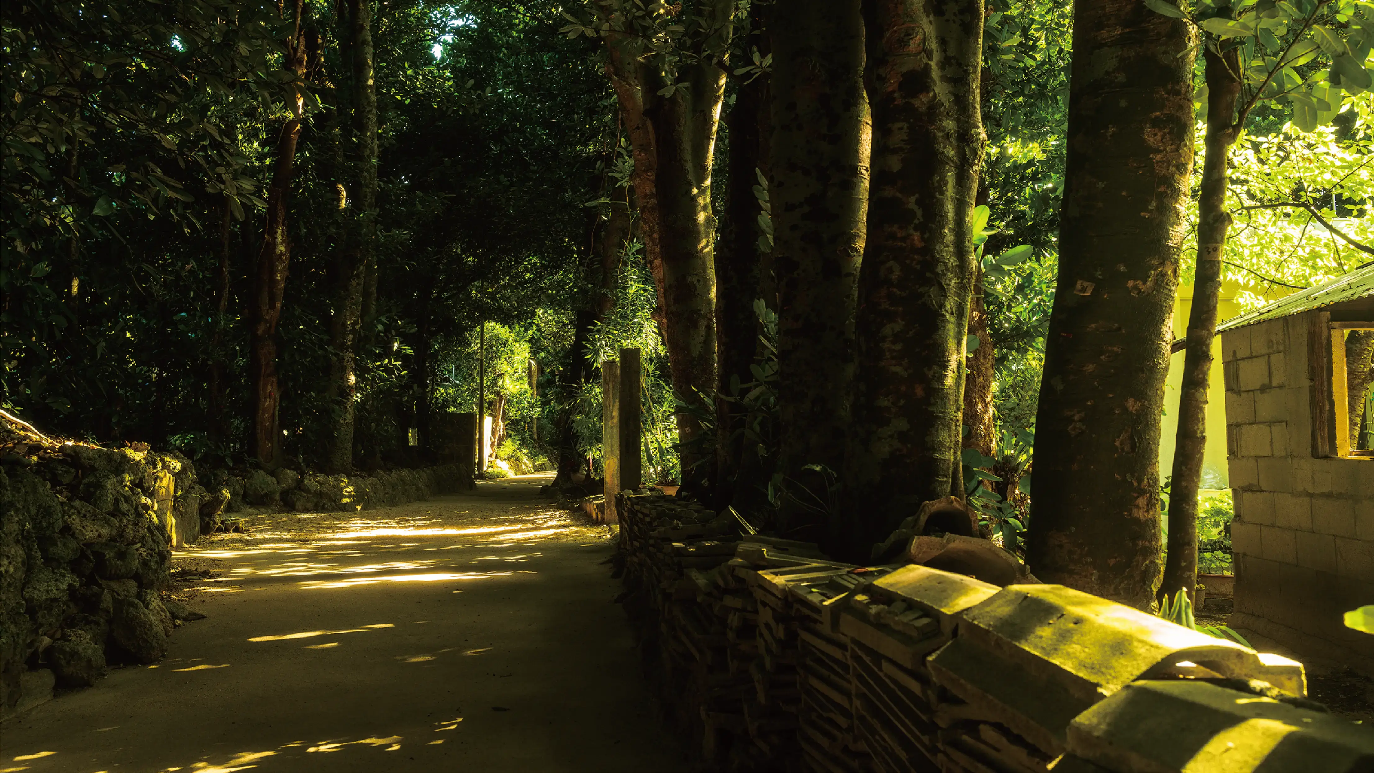 メインビジュアル